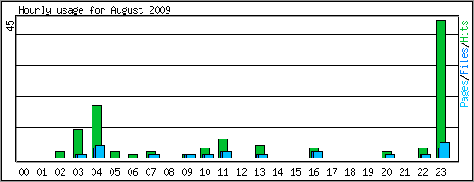 Hourly usage